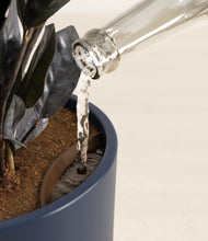 Load image into Gallery viewer, Deep Navy stand:all
