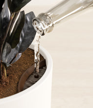 Load image into Gallery viewer, White stand:all
