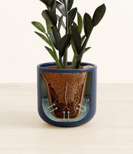 Load image into Gallery viewer, Twilight Blue stand:all
