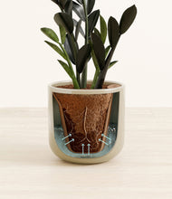 Load image into Gallery viewer, Sage Green stand:all
