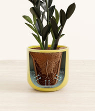 Load image into Gallery viewer, Key Lime Yellow stand:all
