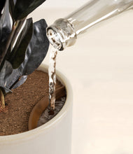 Load image into Gallery viewer, Snowdrift White stand:all
