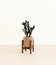 Load image into Gallery viewer, Hammered Peach Pink stand:walnut
