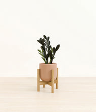 Load image into Gallery viewer, Striped Peach Pink stand:bamboo
