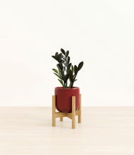 Load image into Gallery viewer, Striped Cherry Red stand:bamboo
