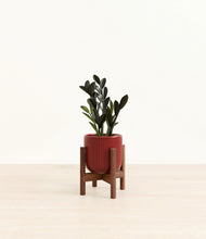 Load image into Gallery viewer, Striped Cherry Red stand:walnut
