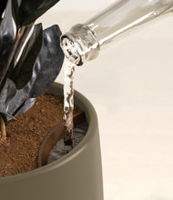 Load image into Gallery viewer, Olive stand:all
