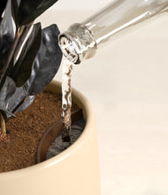 Load image into Gallery viewer, Almond Green stand:all
