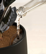 Load image into Gallery viewer, Black stand:all
