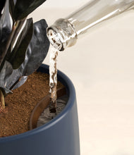 Load image into Gallery viewer, Deep Navy stand:all
