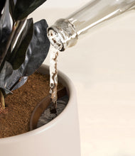 Load image into Gallery viewer, Eternal Gray stand:all
