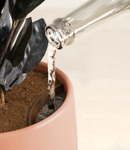 Load image into Gallery viewer, Calm Rose stand:all
