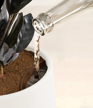 Load image into Gallery viewer, White stand:all
