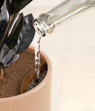 Load image into Gallery viewer, Glossy Pink stand:all
