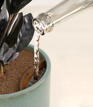 Load image into Gallery viewer, Reactive Aqua stand:all
