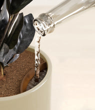 Load image into Gallery viewer, Sage Green stand:all
