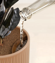 Load image into Gallery viewer, Striped Peach Pink stand:all
