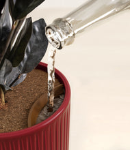 Load image into Gallery viewer, Striped Cherry Red stand:all
