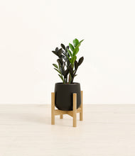 Load image into Gallery viewer, Black stand:bamboo

