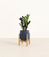 Load image into Gallery viewer, Deep Navy stand:bamboo
