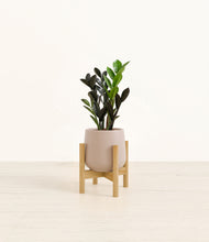 Load image into Gallery viewer, Eternal Gray stand:bamboo

