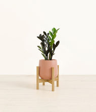 Load image into Gallery viewer, Calm Rose stand:bamboo
