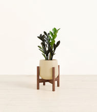 Load image into Gallery viewer, Deep Navy stand:walnut
