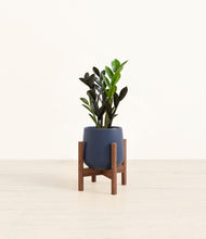 Load image into Gallery viewer, Almond Green stand:walnut
