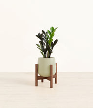 Load image into Gallery viewer, Turquoise stand:walnut
