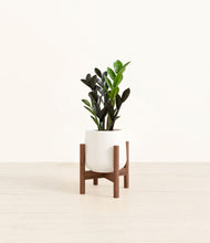 Load image into Gallery viewer, White stand:walnut
