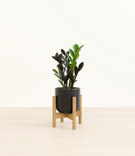 Load image into Gallery viewer, Stone Black stand:bamboo
