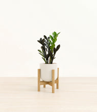 Load image into Gallery viewer, Cotton White stand:bamboo

