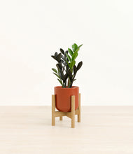 Load image into Gallery viewer, Glossy Red stand:bamboo
