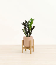 Load image into Gallery viewer, Glossy Pink stand:bamboo
