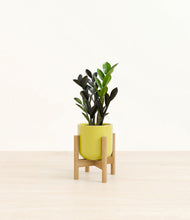 Load image into Gallery viewer, Key Lime Yellow stand:bamboo
