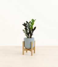 Load image into Gallery viewer, Misty Blue stand:bamboo
