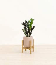Load image into Gallery viewer, Sandy Pink stand:bamboo
