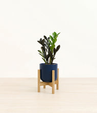 Load image into Gallery viewer, Twilight Blue stand:bamboo
