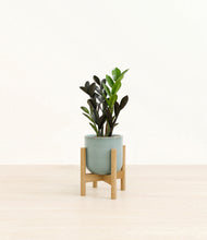 Load image into Gallery viewer, Reactive Aqua stand:bamboo
