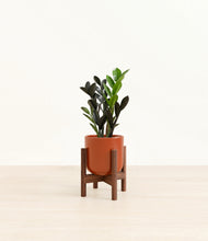 Load image into Gallery viewer, Glossy Red stand:walnut
