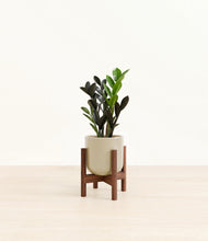 Load image into Gallery viewer, Sage Green stand:walnut
