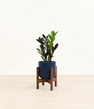 Load image into Gallery viewer, Twilight Blue stand:walnut
