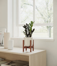 Load image into Gallery viewer, Cotton White stand:walnut
