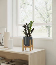 Load image into Gallery viewer, Iron Gray stand:bamboo
