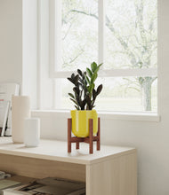 Load image into Gallery viewer, Key Lime Yellow stand:walnut
