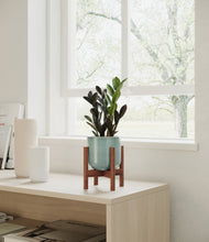 Load image into Gallery viewer, Reactive Aqua stand:walnut
