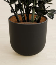 Load image into Gallery viewer, Stone Black stand:all
