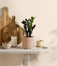 Load image into Gallery viewer, Sandy Pink
