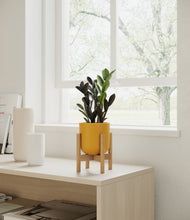 Load image into Gallery viewer, Sunset Orange stand:bamboo
