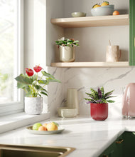 Load image into Gallery viewer, Cranberry Sage

